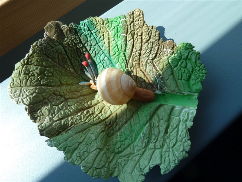 Schnecken cycle 2.1 201314 15